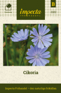Cikoria, nordisk vildblomma. Blåklintsblå blomkorgar, flera på varje stjälk.