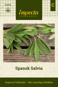 Spansk Salvia Impecta fröpåse