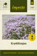Kryddtimjan, Vintergrön halvbuske med purpurrosa blommor och aromatiskt bladverk
