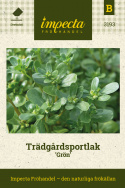 Trädgårdsportlak Grön Ljusgröna, suckulenta, krispiga blad, rika på E-vitamin,