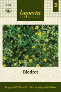 Blodrot, Gula blommor. Lättodlad, används i te och mot inflammation i mun & hals