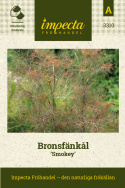 Bronsfänkål 'Smokey', Bronsfärgat, findelat bladverk, med små fröer 