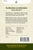 Trollrudbeckia 'Green Wizzard'