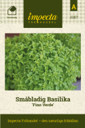 Småbladig Basilika Fino Verde, småbladig sort. Söt, pikant, kryddig smak.