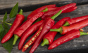 Tabascopeppar ''Birds Eye'', Het chili med långsmala, klarröda frukter.