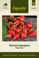 Havannapeppar 'Biquinho', små, klarröda, droppformade frukter, ca 2 cm stora, på buskiga plantor.
