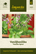 Vaniljbasilika Vanilla Spice, limegröna blad och lila små blommor. Smakar vanilj