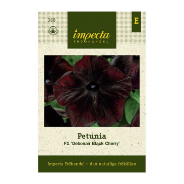 Petunia F1 'Debonair Black Cherry'