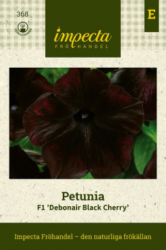 Petunia F1 ''Debonair Black Cherry'' fröpåse Impecta