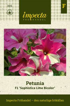 Petunia F1 Sophistica Lime Bicolor fröpåse Impecta