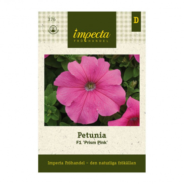 Petunia F1 'Prism Pink'