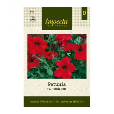 Petunia F1 'Prism Red'