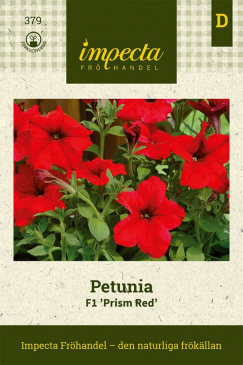 Petunia F1 Prism Red Impecta Fröpåse