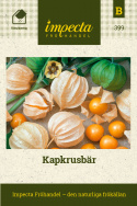 Kapkrusbär, Gula trumpetblommor, svart teckning. Tomatlika frukter med unik smak