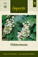 Flikhortensia, Buske med mörkgröna blad, som får vacker röd höstfärg