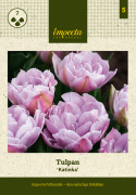 Tulpan 'Katinka' 7 st, En ljuvlig, helfylld tulpan med stora blommor i svala toner av syrenlila och gammalrosa.