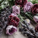 Tulpan 'Katinka' 7 st, En ljuvlig, helfylld tulpan med stora blommor i svala toner av syrenlila och gammalrosa.