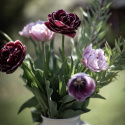 Tulpan 'Katinka' 7 st, En ljuvlig, helfylld tulpan med stora blommor i svala toner av syrenlila och gammalrosa.