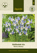 Holländsk Iris 'Silvery Beauty' 10 st