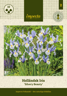 Holländsk Iris ''Silvery Beauty'' Framsida