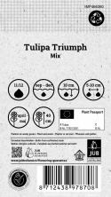 Triumftulpan Mix, klassiska triumftulpaner i blandade pasteller.