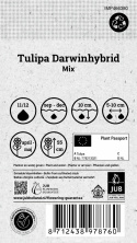 Darwinhybridtulpan mix, En mix av tidlösa och ståtliga darwintulpaner
