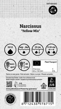 Narciss ´Yellow Mix´, Odlingsanvisning