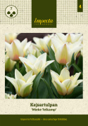 Kejsartulpan  'Mieke Telkamp' 7 st, enkla, bägarformade blommor i cremegult med svagt persikorosa.