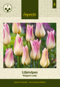 Liljetulpan  'Elegant Lady' 7 st, Enkla, utsökt eleganta blommor med cremegula kronblad kantade i ljust lavendelrosa.