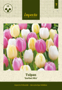 Tulpan 'Sorbet Mix' 15 st
