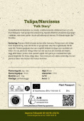 Tulpan/Orkidénarciss 'Folk Story' 15 st