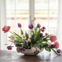 Darwinhybridtulpan ´Pink Impression´,Stora, djupt rosa blommor har en vacker sat