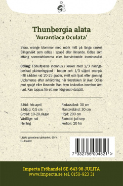 Svartöga Aurantiaca Oculata Impecta Fröpåse baksida