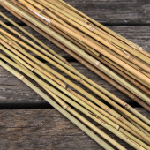 Bambupinnar 75 cm 10-pack