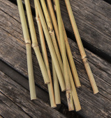 Bambupinnar 75 cm 10-pack
