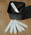 Plantetikett vit 100-pack, Vita, 10 cm långa plastetiketter. Oumbärliga vid all frösådd för att lätt kunna hålla reda på dina sådder.