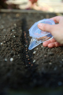  Sådosa av genomskinlig plast för enkel dosering av fröer vid sådd. 