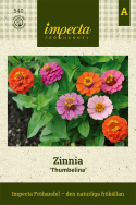 zinnia ''Thumbelina'' Lättodlad sommarblomma i vackra, klara färger. Extra låg