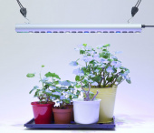 Växtbelysning Quattro 35 W LED