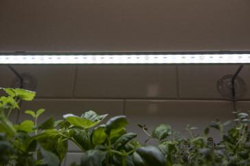 Växtbelysning LED No.1 60 cm 15 W
