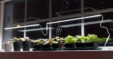 Växtbelysning LED No.2 60 cm 15 W