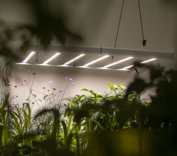 LED-armatur växthus 110x110 cm 480 W