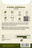 Röllika ''Colorado'', Täta blomsamlingar i toner av lila, rosa, gult och vitt.