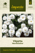 Vitpytta ''''Marshmallow''''
