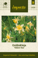Guldakleja 'Yellow Star', Ljust guldgula, långsporriga blommor med underbar doft