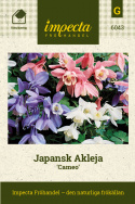 Japansk Akleja Cameo Förtjusande miniakleja i olika rosa färger
