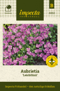 Aubrietia Leichtlinii, En mer storblommande, kontrastrik sort med karminrosa 