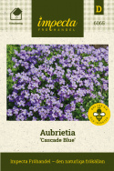 Aubrietia 'Cascade Blue', Stora, täta tuvor. Blommorna är stora och kraftigt blå