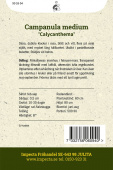 Mariaklocka 'Calycanthema'