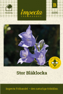 Stor Blåklocka, Himmelsblå, stora klockor, flera på varje blomstjälk. 